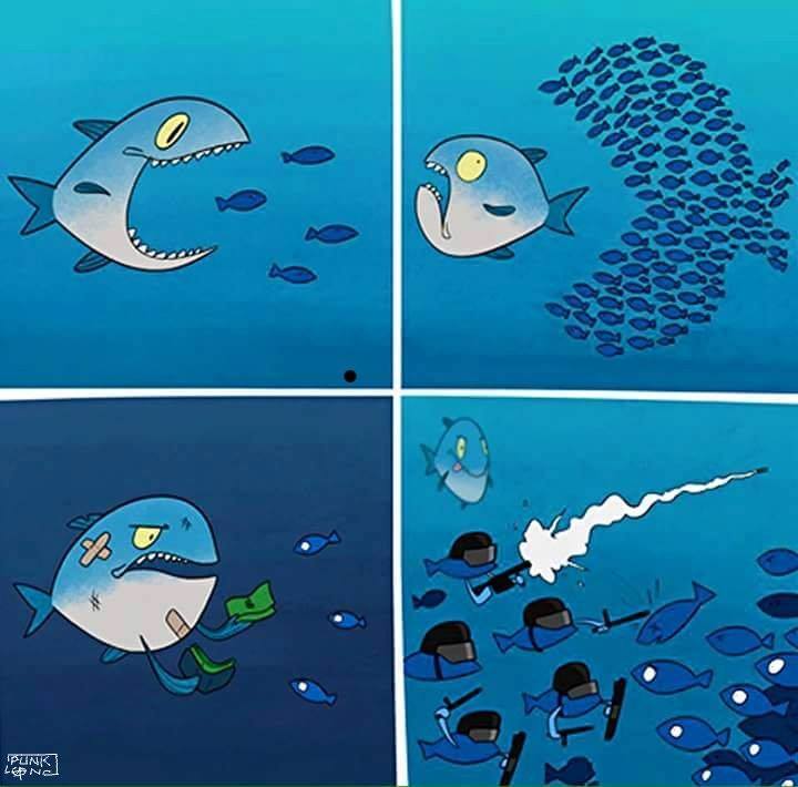 big-fish-pays-small-fish-cops