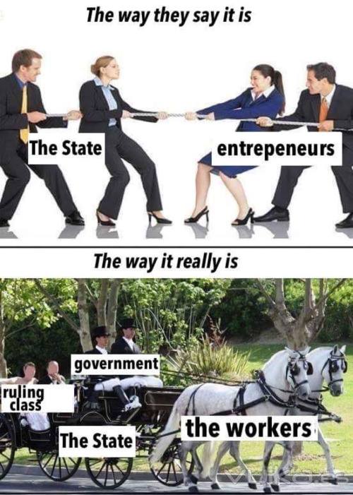 government-vs-entrepreneurs
