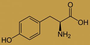 Molécule de tyrosine
