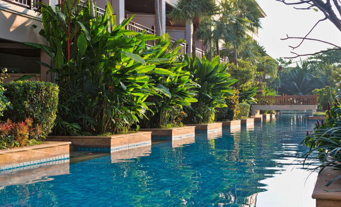 Piscine de resort