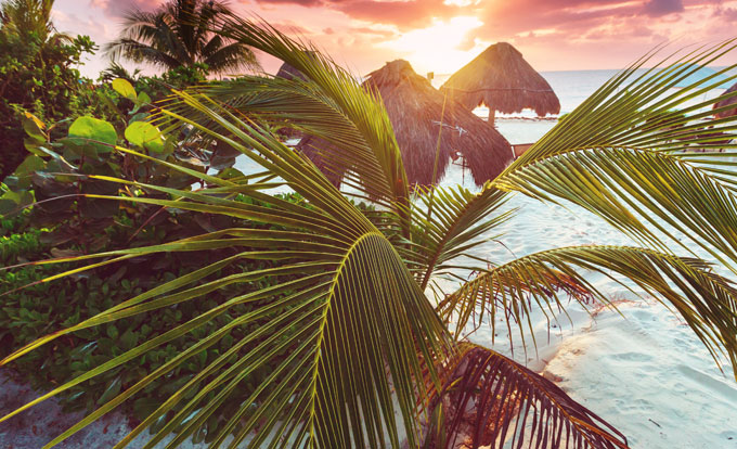 aff-plage-tropicale-au-soleil-couchant-680x414
